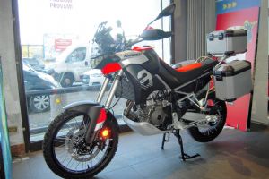 MOTORFELSINEA